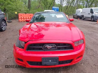 2013 Ford Mustang V6 with VIN 1ZVBP8AM7D5244237, listed as a IAAI auction lot 42147696 with 121,292 mi miles and . Bid and sale history available at DreamBid. Image 12.