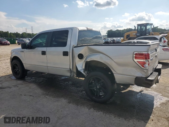 2009 Ford F-150 XL with VIN 1FTRW12WX9FB19889, listed as a Copart auction lot 60272775 with 155,783 mi miles and Salvage title. Bid and sale history available at DreamBid. Image 2.