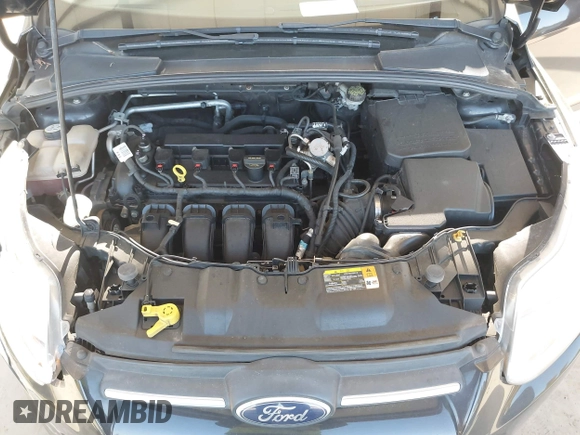 2013 Ford Focus SE with VIN 1FADP3K22DL189998, listed as a IAAI auction lot 42101141 with 116,170 mi miles and . Bid and sale history available at DreamBid. Image 10.