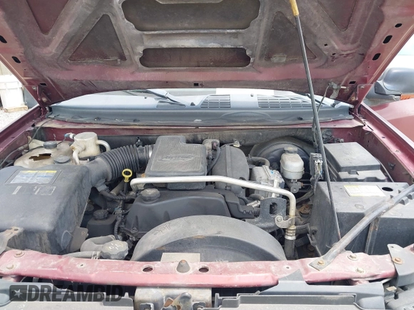 2005 Chevrolet TrailBlazer LS with VIN 1GNDS13S052269570, listed as a IAAI auction lot 42041784 with 143,024 mi miles and . Bid and sale history available at DreamBid. Image 10.