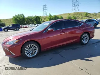 2019 Lexus ES 300h with VIN 58AB21B16KU001085, listed as a Copart auction lot 62694675 with 53,276 mi miles and Clean title. Bid and sale history available at DreamBid. Image 1.