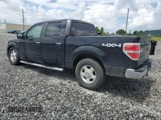 2010 Ford F-150 XL with VIN 1FTFW1EV1AFA04835, listed as a Copart auction lot 60063625 with 160,280 mi miles and Salvage title. Bid and sale history available at DreamBid. Image 2.