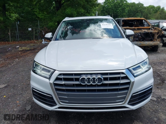 2019 Audi Q5 Premium Plus with VIN WA1BNAFY7K2056998, listed as a IAAI auction lot 42230392 with 52,289 mi miles and . Bid and sale history available at DreamBid. Image 12.