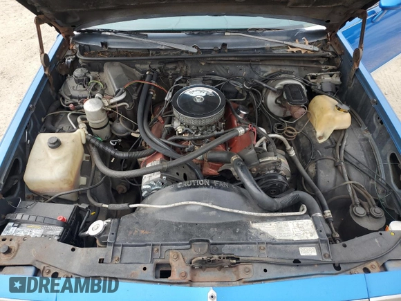 1981 Chevrolet El Camino with VIN 1GCCW80J2BD432782, listed as a Copart auction lot 41821285 with 24,296 mi miles and Salvage Title. Bid and sale history available at carsss.com. Image 11.