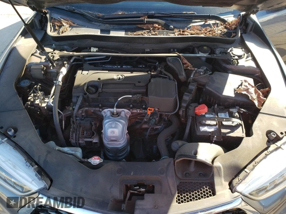 2019 Acura TLX with VIN 19UUB1F32KA010711, listed as a Copart auction lot 41838155 with 0 mi miles and Salvage Title. Bid and sale history available at carsss.com. Image 11.