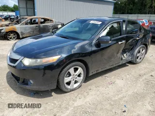 2009 Acura TSX with VIN JH4CU26669C027738, listed as a Copart auction lot 59540305 with 280,897 mi miles and Salvage title. Bid and sale history available at DreamBid. Image 1.