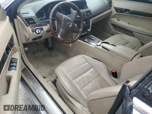 2010 Mercedes-Benz E-Class E 550 with VIN WDDKJ7CB5AF046696, listed as a Copart auction lot 49076015 with 0 mi miles and Salvage Title. Bid and sale history available at carsss.com. Image 8.