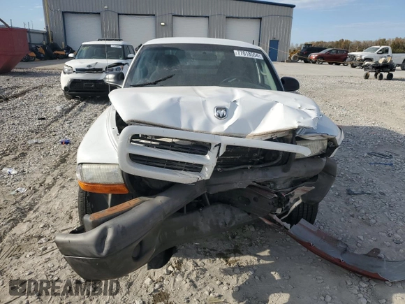 2003 Dodge Dakota with VIN 1D7FL16XX3S353971, listed as a Copart auction lot 77018554 with 0 mi miles and Salvage Title. Bid and sale history available at carsss.com. Image 5.