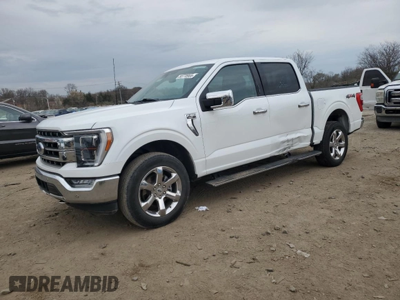 2023 Ford F-150 XL with VIN 1FTEW1EP0PFB56918, listed as a Copart auction lot 50770955 with 53,495 mi miles and Non Repairable. Bid and sale history available at carsss.com. Image 1.