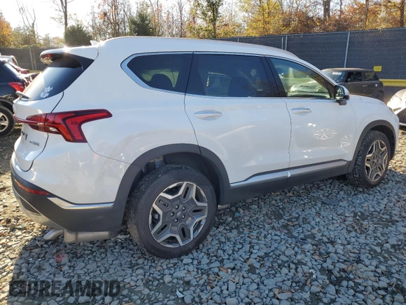 2023 Hyundai Santa Fe Hybrid Limited with VIN 5NMS5DA10PH008540, listed as a Copart auction lot 80548914 with 14,779 mi miles and Salvage Title. Bid and sale history available at carsss.com. Image 3.