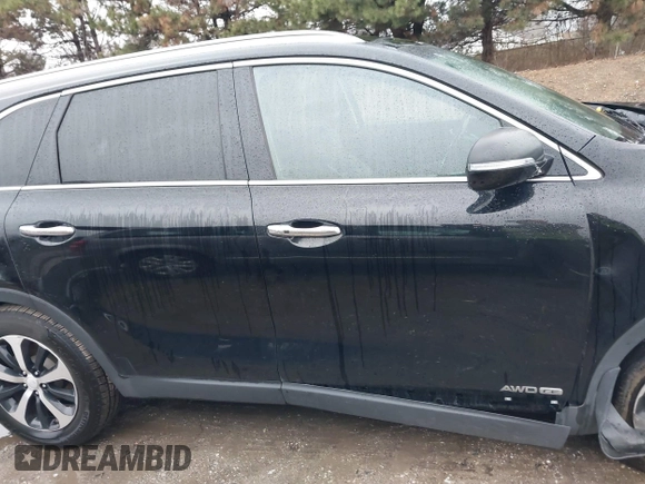 2017 Kia Sorento EX with VIN 5XYPHDA59HG231011, listed as a IAAI auction lot 41218507 with 149,190 mi miles and . Bid and sale history available at DreamBid. Image 13.