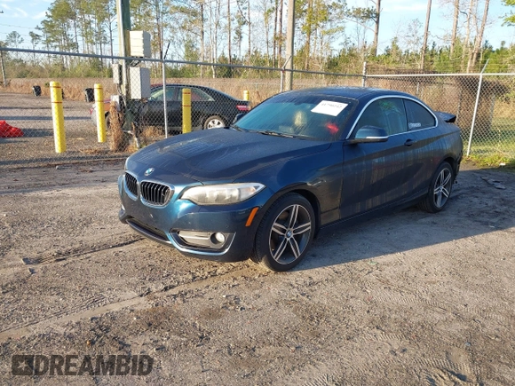 2017 BMW 2 Series 230i with VIN WBA2F9C3XHV983993, listed as a IAAI auction lot 41790242 with 76,620 mi miles. Bid and sale history available at carsss.com. Image 18.