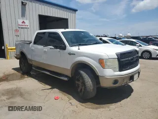 2009 Ford F-150 XL with VIN 1FTPW14VX9KA17124, listed as a Copart auction lot 55144375 with 257,748 mi miles and Salvage title. Bid and sale history available at DreamBid. Image 4.
