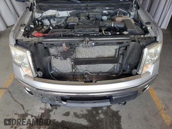 2010 Ford F-150 XL with VIN 1FTFW1EV3AFB69270, listed as a Copart auction lot 66163565 with 176,569 mi miles and Clean title. Bid and sale history available at DreamBid. Image 11.