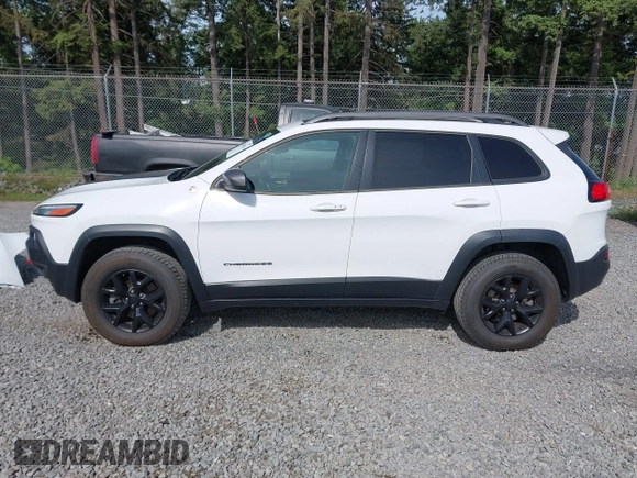 2018 Jeep Cherokee Trailhawk z VIN 1C4PJMBX3JD533323, wystawiony jako IAAI lot #42450626 z przebiegiem 123 174 mil mil oraz . Historia ofert i sprzedaży dostępna na DreamBid. Obrazek 14.