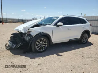 2019 Mazda CX-9 Signature with VIN JM3TCBEY0K0324381, listed as a Copart auction lot 51829795 with Not provided miles and Salvage title. Bid and sale history available at DreamBid. Image 1.