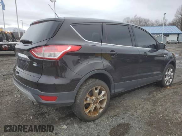 2013 Ford Escape SEL with VIN 1FMCU9HX1DUD19246, listed as a Copart auction lot 48191585 with 165,084 mi miles and Clean Title. Bid and sale history available at carsss.com. Image 3.