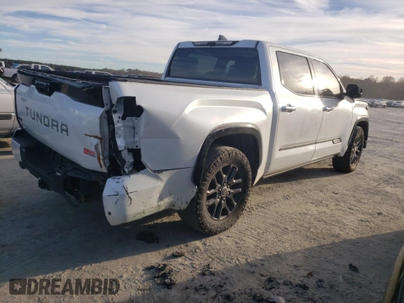 2022 Toyota Tundra Platinum with VIN 5TFNA5DB8NX014092, listed as a Copart auction lot 80914624 with 46,237 mi miles and Salvage title. Bid and sale history available at DreamBid. Image 3.