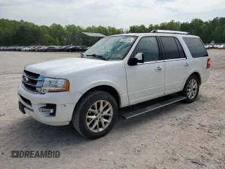 2016 Ford Expedition Limited with VIN 1FMJU1KTXGEF07194, listed as a Copart auction lot 55064965 with 116,669 mi miles and Salvage title. Bid and sale history available at DreamBid. Image 1.