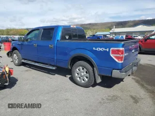 2013 Ford F-150 XL with VIN 1FTFW1EF2DFA71117, listed as a Copart auction lot 53918035 with 139,213 mi miles and Salvage Title. Bid and sale history available at DreamBid. Image 2.