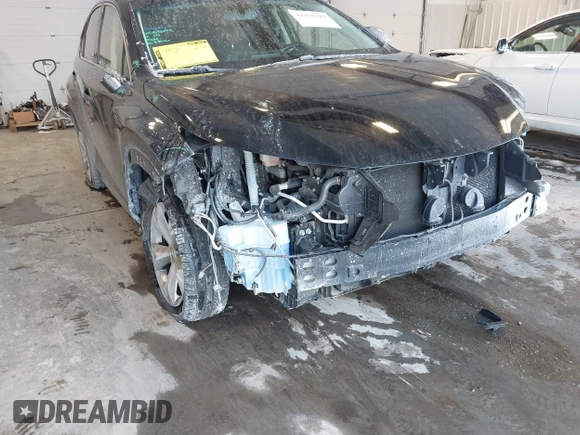 2017 Lexus NX 200t z VIN JTJBARBZ5H2147241, wystawiony jako IAAI lot #41250319 z przebiegiem 77 716 mil mil oraz . Historia ofert i sprzedaży dostępna na DreamBid. Obrazek 6.