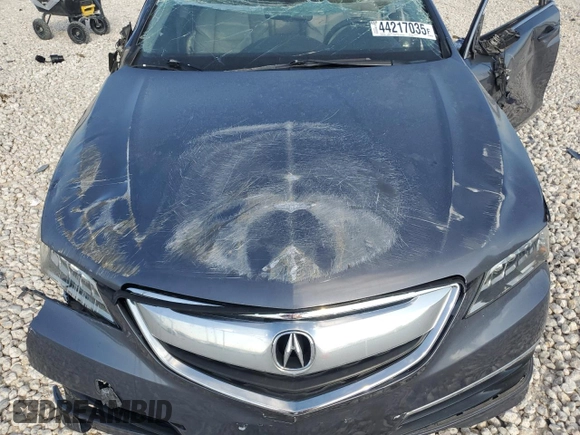 2017 Acura TLX with VIN 19UUB1F32HA003881, listed as a Copart auction lot 44217035 with 0 mi miles and Salvage Title. Bid and sale history available at carsss.com. Image 13.