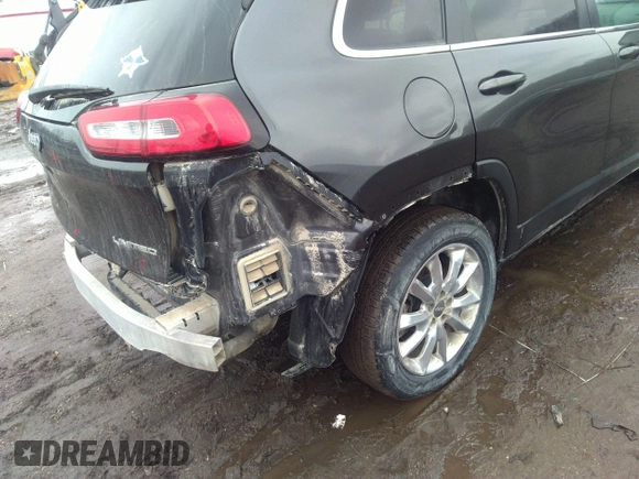 2016 Jeep Cherokee Limited with VIN 1C4PJMDSXGW121091, listed as a IAAI auction lot 41733807 with 196,455 mi miles and . Bid and sale history available at DreamBid. Image 6.