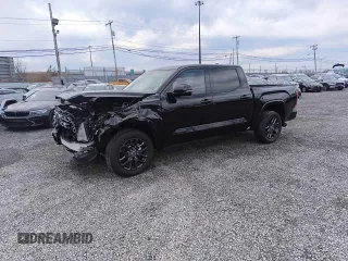 2023 Toyota Tundra Platinum with VIN 5TFNA5DB8PX127429, listed as a Copart auction lot 53527695 with 11,019 mi miles and Salvage title. Bid and sale history available at DreamBid. Image 1.