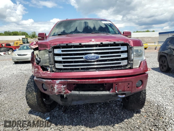 2013 Ford F-150 XL with VIN 1FTFW1EF8DKE14522, listed as a Copart auction lot 55725975 with 317,578 mi miles and Salvage title. Bid and sale history available at DreamBid. Image 5.