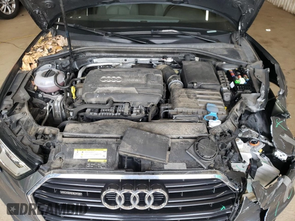 2017 Audi A3 Premium Plus with VIN WAUJ8GFF7H1060118, listed as a Copart auction lot 60925654 with 58,913 mi miles and Salvage Title. Bid and sale history available at DreamBid. Image 11.
