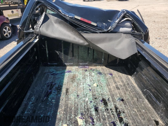 1996 Chevrolet Silverado 1500 with VIN 1GCEC14R3TZ136733, listed as a Copart auction lot 54384725 with 113,939 mi miles and Salvage Title. Bid and sale history available at DreamBid. Image 10.