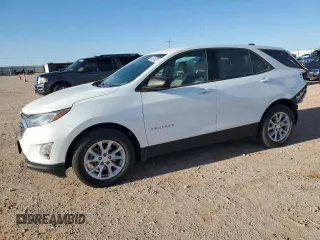2019 Chevrolet Equinox LS z VIN 2GNAXHEV8K6227957, wystawiony jako Copart lot #55955525 z przebiegiem 56 525 mil mil oraz Szkoda całkowita • Salvage title. Historia ofert i sprzedaży dostępna na DreamBid. Obrazek 1.