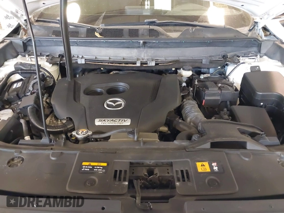 2017 Mazda CX-9 Grand Touring with VIN JM3TCADY5H0132572, listed as a IAAI auction lot 41421008 with 66,656 mi miles and . Bid and sale history available at DreamBid. Image 10.