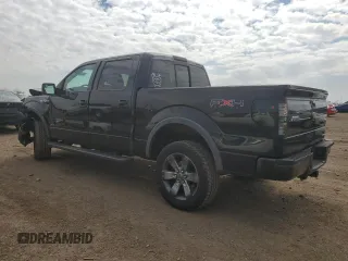 2011 Ford F-150 XL with VIN 1FTFW1EF5BKD29344, listed as a Copart auction lot 50380205 with 117,289 mi miles and Salvage Title. Bid and sale history available at DreamBid. Image 2.