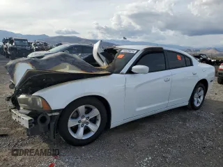 2012 Dodge Charger SE with VIN 2C3CDXBG2CH298060, listed as a Copart auction lot 44025974 with Not Provided miles and Salvage Title. Bid and sale history available at carsss.com. Image 1.