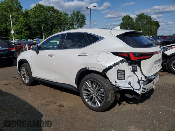 2024 Lexus NX 350 Luxury with VIN 2T2HGCEZ1RC048676, listed as a Copart auction lot 58994635 with 13,229 mi miles and Salvage title. Bid and sale history available at DreamBid. Image 2.