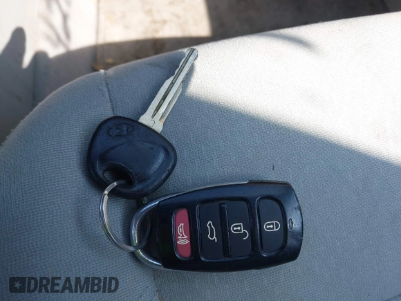 2007 Hyundai Veracruz GLS with VIN KM8NU13C97U009896, listed as a IAAI auction lot 42824029 with 200,964 mi miles and . Bid and sale history available at DreamBid. Image 11.