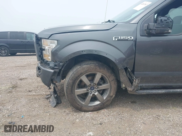 2016 Ford F-150 XLT z VIN 1FTEW1EF3GFC20442, wystawiony jako IAAI lot #42487187 z przebiegiem 150 819 mil mil oraz . Historia ofert i sprzedaży dostępna na DreamBid. Obrazek 6.
