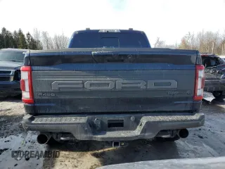 2023 Ford F-150 Raptor with VIN 1FTFW1RG0PFD16861, listed as a Copart auction lot 45338035 with 19,454 mi miles and Salvage Title. Bid and sale history available at DreamBid. Image 6.