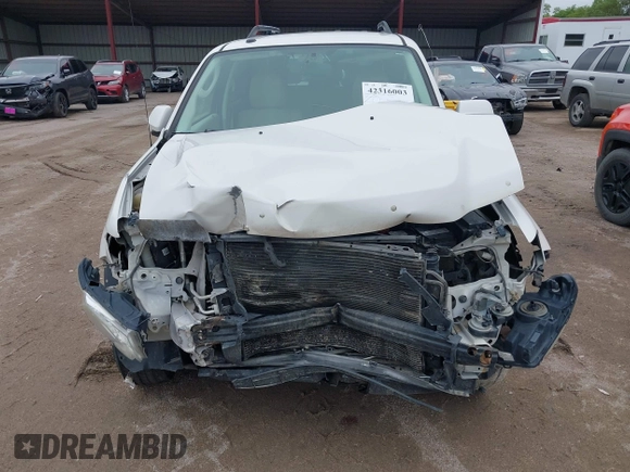 2009 Ford Escape Limited with VIN 1FMCU94G49KB62188, listed as a IAAI auction lot 42316003 with Not provided miles and . Bid and sale history available at DreamBid. Image 12.