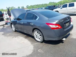 2009 Nissan Maxima 3.5 SV w/Sport Pkg with VIN 1N4AA51E69C821422, listed as a IAAI auction lot 41979055 with 294,317 mi miles. Bid and sale history available at carsss.com. Image 3.