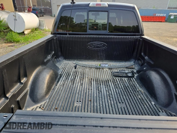 2009 Ford F-150 XL with VIN 1FTPW14V29FB29022, listed as a Copart auction lot 59518745 with 225,701 mi miles and Salvage title. Bid and sale history available at DreamBid. Image 10.