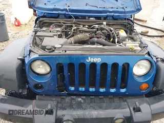 2009 Jeep Wrangler Unlimited X with VIN 1J4GA39189L787777, listed as a IAAI auction lot 41570579 with 193,163 mi miles. Bid and sale history available at carsss.com. Image 10.