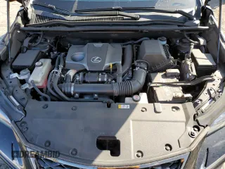 2020 Lexus NX 300 F Sport with VIN JTJSARBZ1L2169584, listed as a Copart auction lot 43756665 with 33,495 mi miles and Salvage title. Bid and sale history available at DreamBid. Image 14.