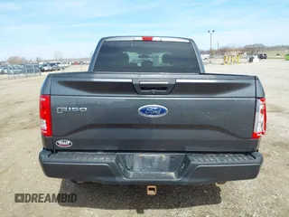 2017 Ford F-150 XL with VIN 1FTEW1EP5HFC13843, listed as a IAAI auction lot 41846415 with 125,277 mi miles. Bid and sale history available at carsss.com. Image 17.