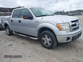 2014 Ford F-150 XL with VIN 1FTFW1CF9EFA40824, listed as a IAAI auction lot 41843053 with 124,613 mi miles. Bid and sale history available at carsss.com. Image 1.