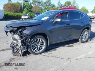 2023 Lexus NX with VIN 2T2GKCEZXPC015134, listed as a IAAI auction lot 41984994 with 19,264 mi miles. Bid and sale history available at carsss.com. Image 17.