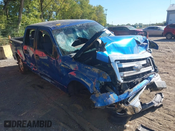 2014 Ford F-150 XL with VIN 1FTEW1CM7EKE11447, listed as a IAAI auction lot 40263342 with 136,589 mi miles. Bid and sale history available at carsss.com. Image 1.