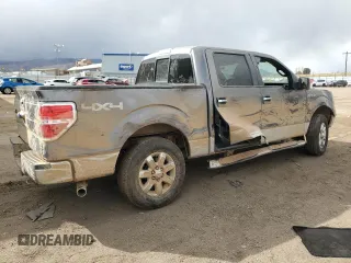 2013 Ford F-150 XL with VIN 1FTFW1EF3DFA22301, listed as a Copart auction lot 49437525 with Not Provided miles and Salvage Title. Bid and sale history available at DreamBid. Image 3.