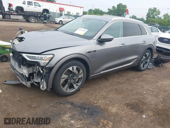 2022 Audi e-tron Premium with VIN WA1AAAGE1NB003892, listed as a IAAI auction lot 42391555 with 48,771 mi miles and . Bid and sale history available at DreamBid. Image 20.